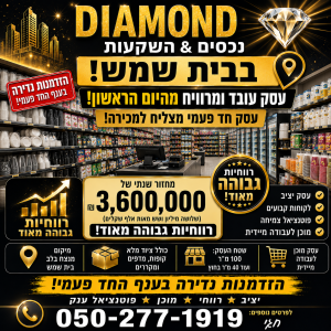 עסק חד פעמי מצליח